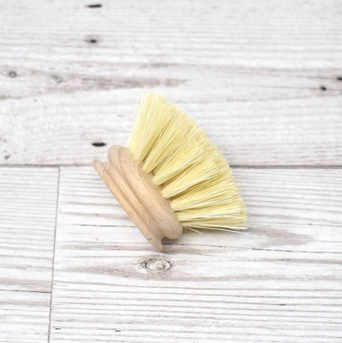 Eco Living Natural Bristle Dish Brush Head – Replacement For Dish Washing Brush