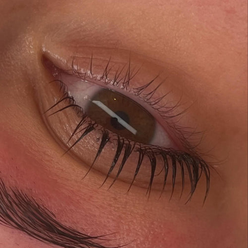Sample Pack: Flutter and Frame Lash Lift and Brow Lamination