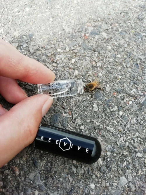 Bee Revival Kit with Bee ID Tag 🐝