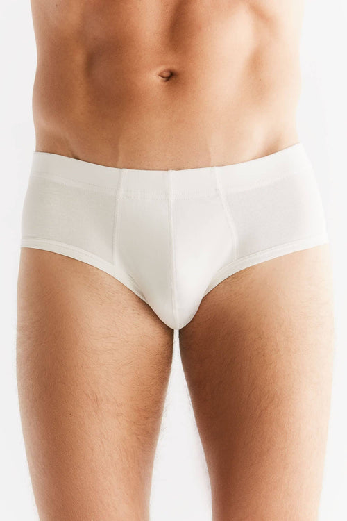 Organic Cotton Briefs: Mens