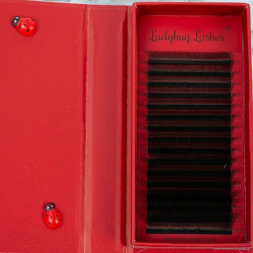 W Lash 16 Row Mixed Tray