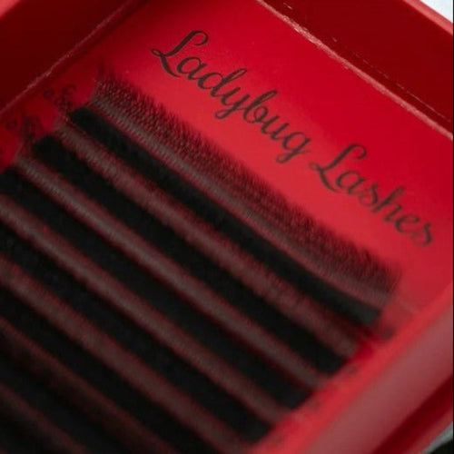 W Lash 16 Row Mixed Tray