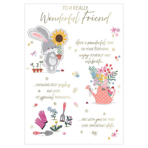 to  a  really   wonderful  friend birthday  card