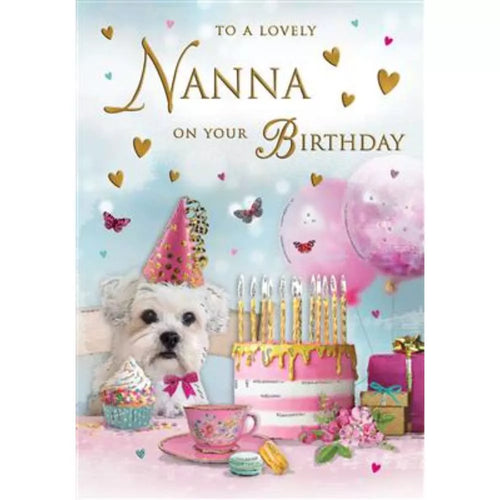 Nanna   ON  YOUR  BIRTHDAY    CARD