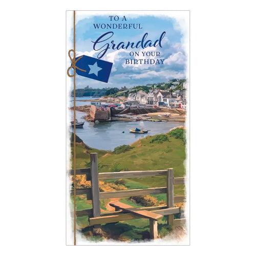 TO A WONDERFUL   GRANDAD ON  YOUR BIRTHDAY CARD