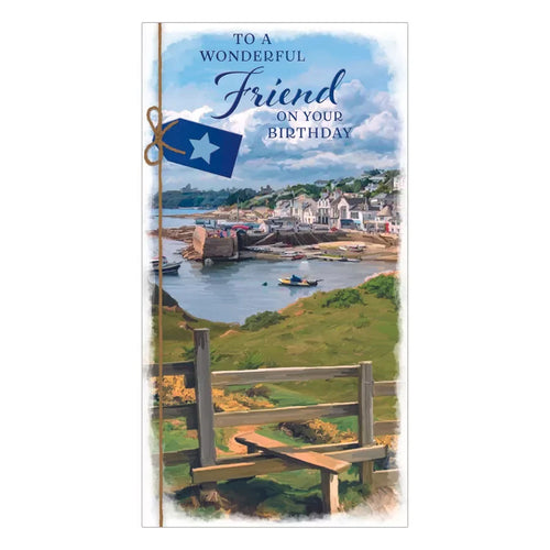 TO A WONDERFUL FRIEND  ON YOUR BIRTHDAY    CARD