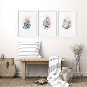 Coastal Prints Set of 3 | Framed Seashell Wall Art