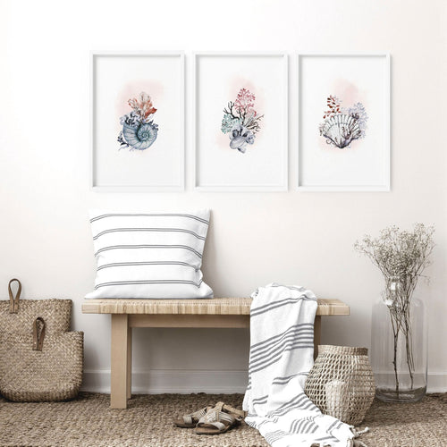 Coastal Prints Set of 3 | Framed Seashell Wall Art