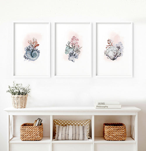 Coastal Prints Set of 3 | Framed Seashell Wall Art