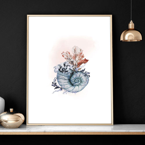 Coastal Prints Set of 3 | Framed Seashell Wall Art