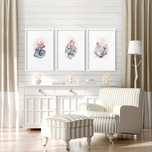 Coastal Prints Set of 3 | Framed Seashell Wall Art
