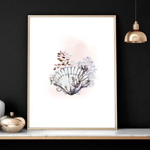 Coastal Prints Set of 3 | Framed Seashell Wall Art