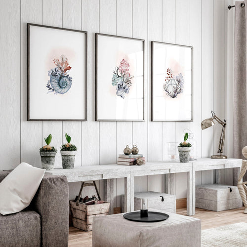 Coastal Prints Set of 3 | Framed Seashell Wall Art