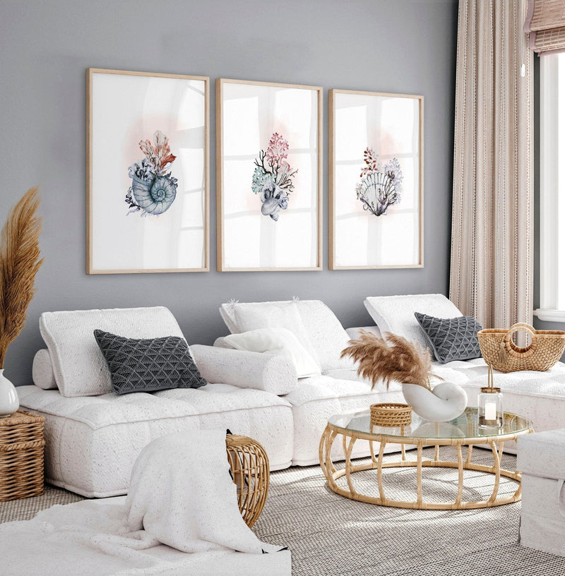 Coastal Prints Set of 3 | Framed Seashell Wall Art