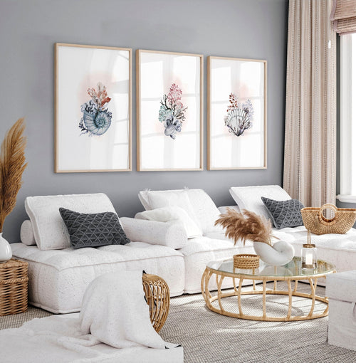 Coastal Prints Set of 3 | Framed Seashell Wall Art