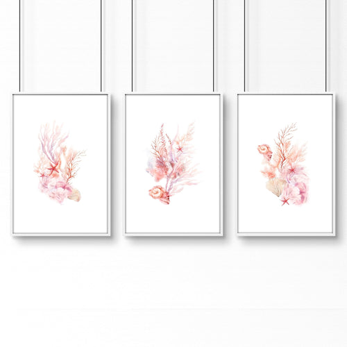 Framed Pictures For The Bathroom | Set of 3 Seashells Wall art Prints