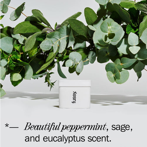 Fussy Natural Deodorant Refill  - Wavy Days