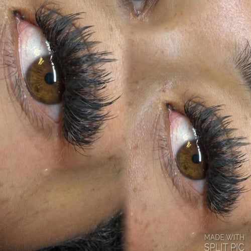 Anime Feather Lash 16 Row Tray