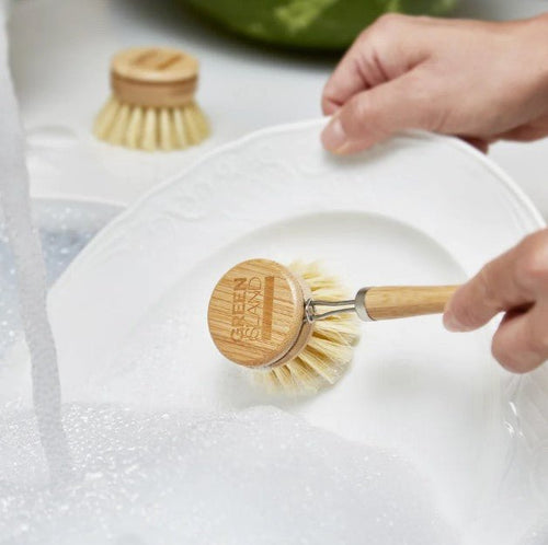 Green Island Replaceable Dish Washer, Plastic Free Eco Friendly Kitchen Brush