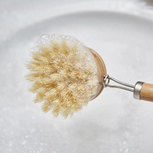 Green Island Replaceable Dish Washer, Plastic Free Eco Friendly Kitchen Brush