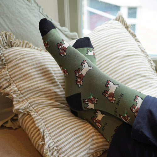 Green Farm Animals Bundle of 4 Bamboo Sock Set