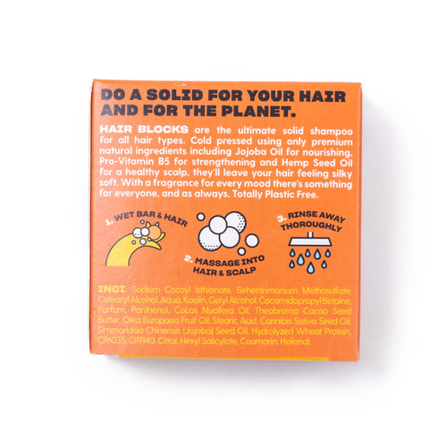 Hair Blocks Solid Shampoo Ginger & Agave Nectar - Plastic Free Vegan Shampoo Bars