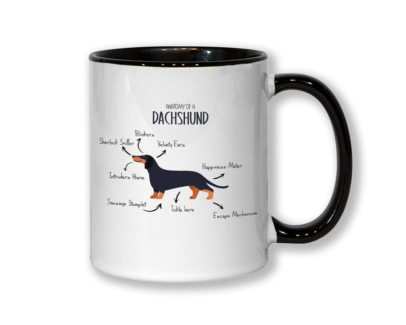 Anatomy of a Dachshund Mug Gift - Funny Dachshund Ceramic Coffee Mug For Him Or Her Dog Lover Gift MGZ416