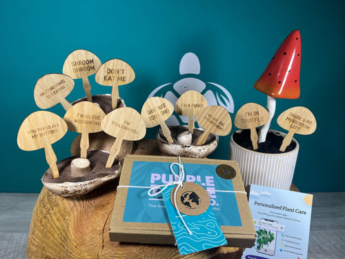 Mushroom Plant Stakes Gift Set