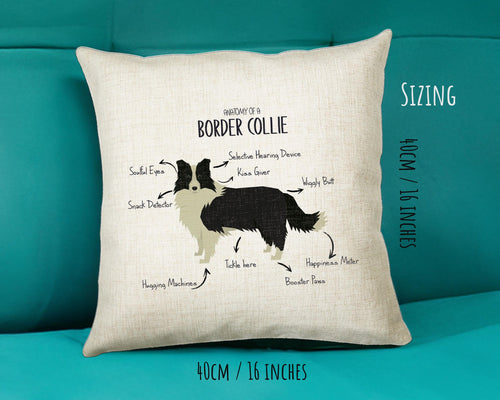 Anatomy of a Border Collie Funny Gift For Him Or Her Cushion Pillow Bedroom Decor CS378