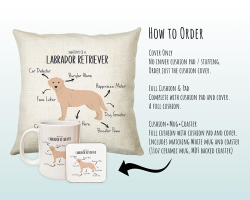 Anatomy of a Labrador Retriever (Golden) Funny Gift For Him Or Her Cushion Pillow Bedroom Decor STC113