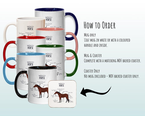 Anatomy of a Horse Pony Funny Gift For Him Or Her Cushion Pillow Bedroom Decor Equestrian Horse Lover Gift MGZ456