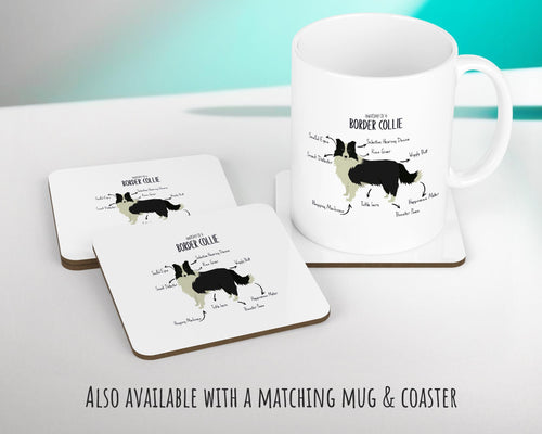Anatomy of a Border Collie Funny Gift For Him Or Her Cushion Pillow Bedroom Decor CS378