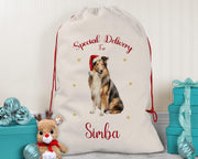 Personalised Rough Collie Large Christmas Sack - Red Drawstring Bag for Xmas Presents - Christmas Eve Bag Box Decoration for Dogs XS141