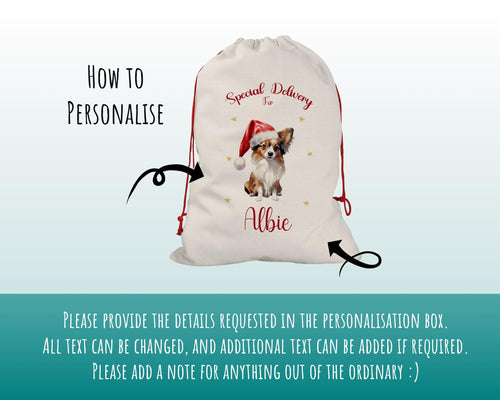 Personalised Papillon Dog Large Christmas Sack - Red Drawstring Bag for Xmas Presents - Christmas Eve Bag Box Decoration for Dogs XS134