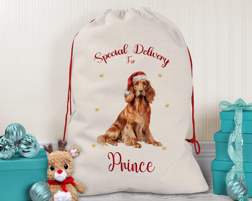 Personalised Irish Setter Large Christmas Sack - Red Drawstring Bag for Xmas Presents - Christmas Eve Bag Box Decoration for Dogs XS114