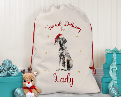Personalized Great Dane Christmas Sack – Red Drawstring Linen Bag XS111