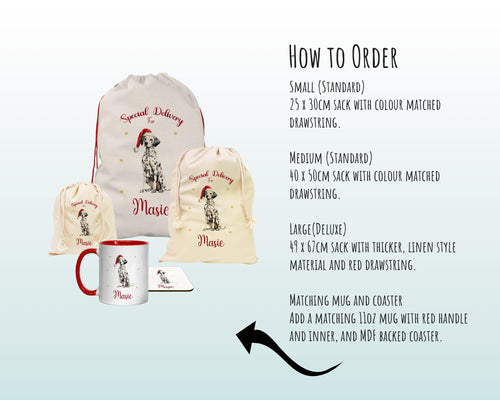 Personalised Dalmatian Large Christmas Sack - Red Drawstring Bag for Xmas Presents - Christmas Eve Bag Box Decoration for Dogs XS099