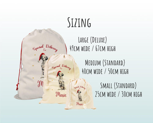 Personalised Dalmatian Large Christmas Sack - Red Drawstring Bag for Xmas Presents - Christmas Eve Bag Box Decoration for Dogs XS099