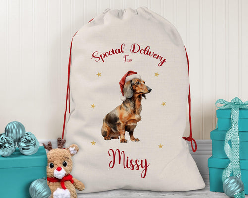 Personalised Dachshund Large Christmas Sack - Red Drawstring Bag for Xmas Presents - Christmas Eve Bag Box Decoration for Dogs XS098