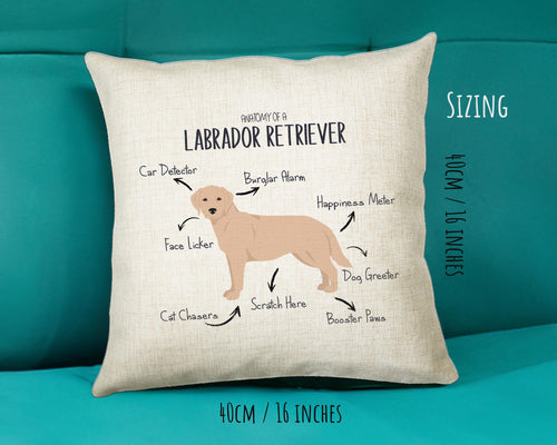 Anatomy of a Labrador Retriever (Golden) Funny Gift For Him Or Her Cushion Pillow Bedroom Decor STC113