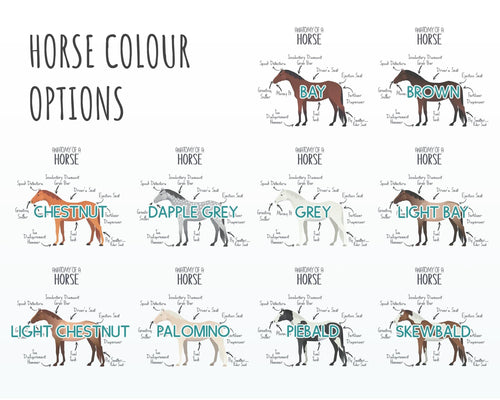 Anatomy of a Horse Pony Funny Gift For Him Or Her Cushion Pillow Bedroom Decor Equestrian Horse Lover Gift MGZ456