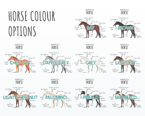Anatomy of a Horse Pony Funny Gift For Him Or Her Cushion Pillow Bedroom Decor CS456