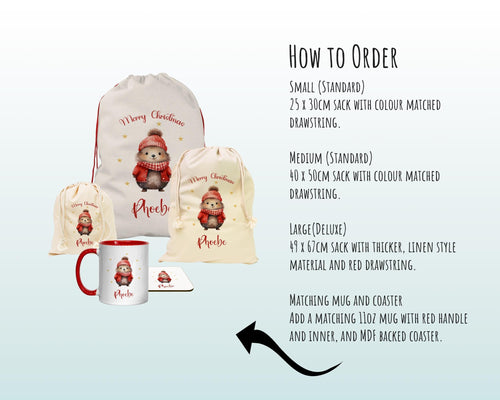 Personalised Christmas Sack - Santa Sack for Kids Presents Xmas Cute Hedgehog Design Stocking Christmas Eve Bag Box for Girls & Boys XS040