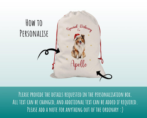 Personalised Shetland Sheepdog Sheltie Large Christmas Sack Drawstring Bag for Xmas Presents Christmas Eve Bag Box Decoration for Dogs XS146