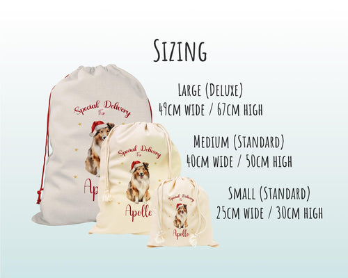 Personalised Shetland Sheepdog Sheltie Large Christmas Sack Drawstring Bag for Xmas Presents Christmas Eve Bag Box Decoration for Dogs XS146