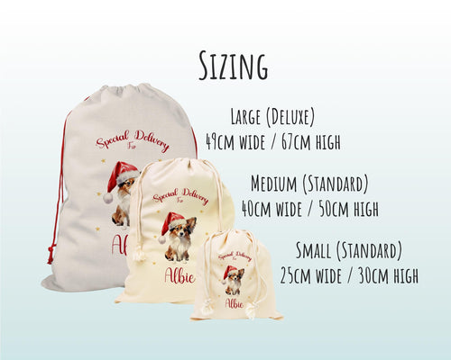 Personalised Papillon Dog Large Christmas Sack - Red Drawstring Bag for Xmas Presents - Christmas Eve Bag Box Decoration for Dogs XS134