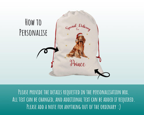Personalised Irish Setter Large Christmas Sack - Red Drawstring Bag for Xmas Presents - Christmas Eve Bag Box Decoration for Dogs XS114