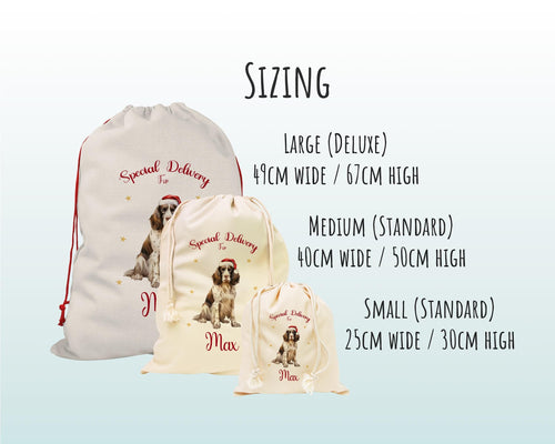 Personalised English Springer Spaniel Large Christmas Sack Drawstring Bag for Xmas Presents Christmas Eve Bag Box Decoration for Dogs XS102