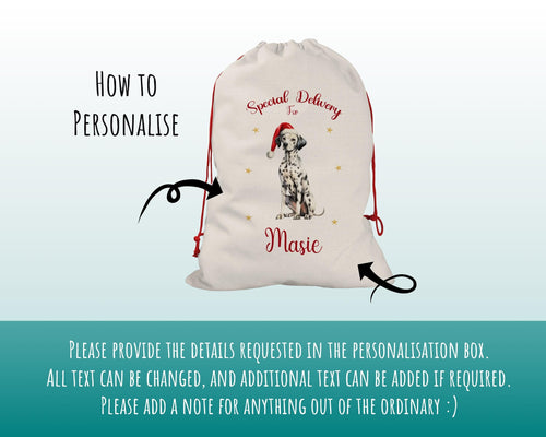 Personalised Dalmatian Large Christmas Sack - Red Drawstring Bag for Xmas Presents - Christmas Eve Bag Box Decoration for Dogs XS099