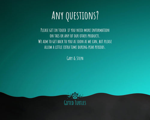 60th Birthday Gift for Women - 60 and Fabulous Small Personalised Flower Pot Vase 1966 Gift for Her Ladies Floral Design Mum Nan BNK60